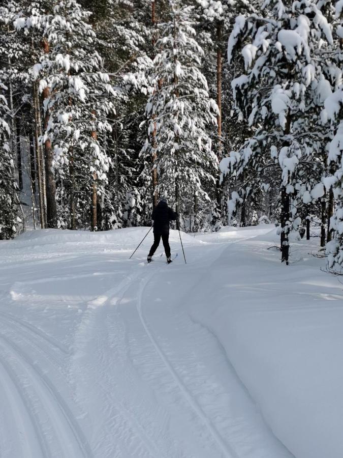 Nordic Character Guest House Vidsel ภายนอก รูปภาพ