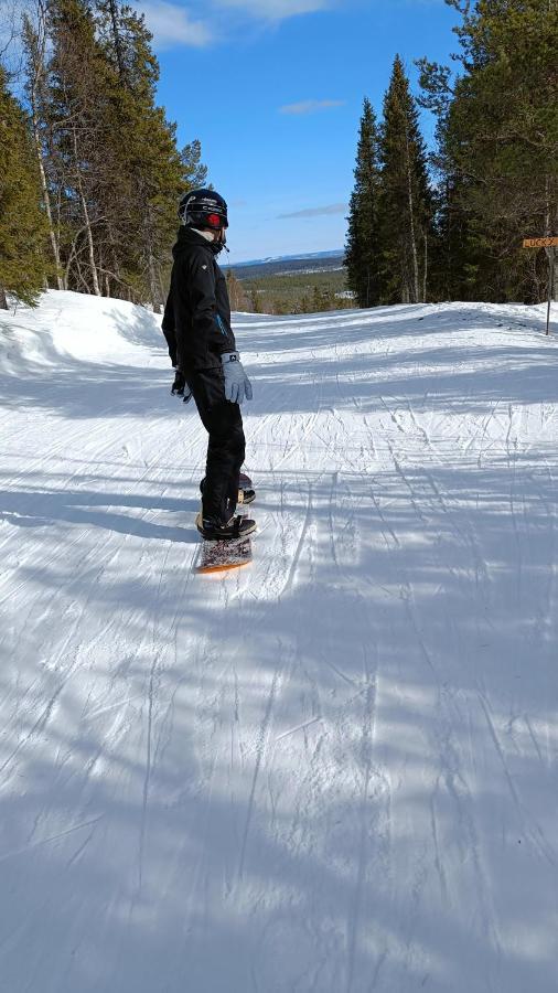 Nordic Character Guest House Vidsel ภายนอก รูปภาพ