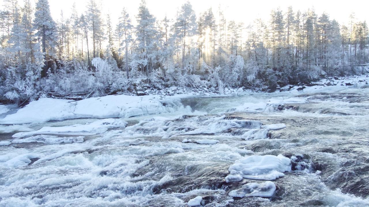 Nordic Character Guest House Vidsel ภายนอก รูปภาพ